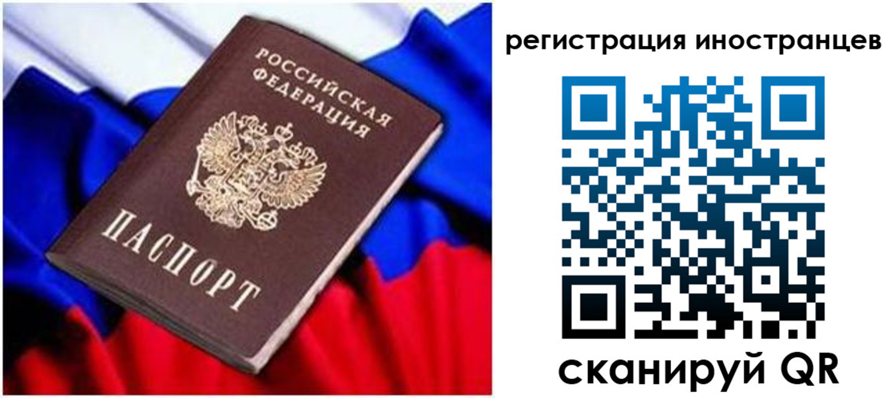 прописка для школы в Новгородской области